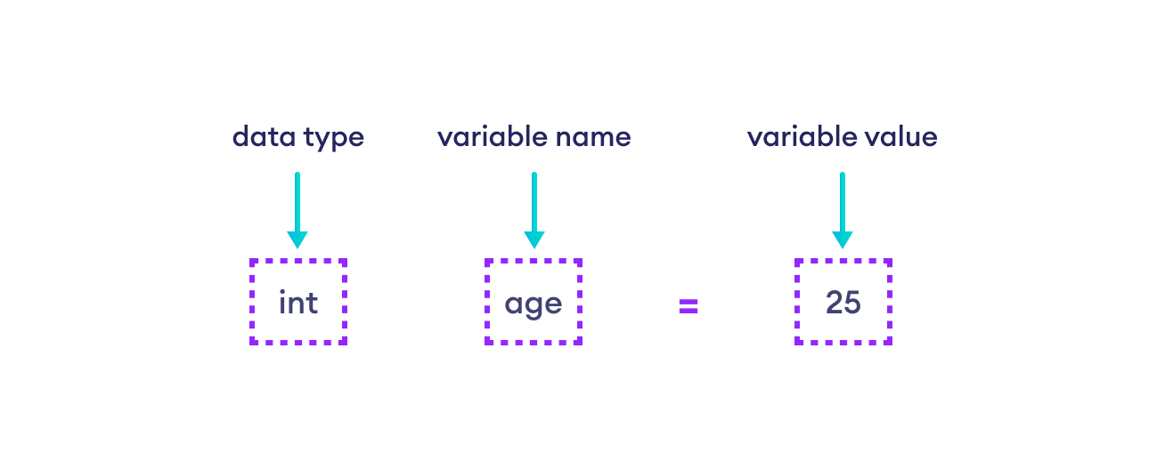 Assign Values to Variables