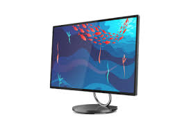 Ann